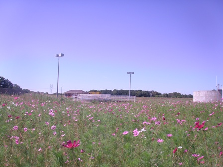 Land