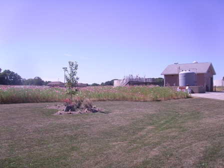 Distant View