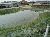 004_Pond_1
