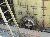 031_InfluentSplitterBox_14