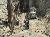 035_VLR1_Excavation_004