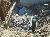 039_VLR_8inDrainLine_28
